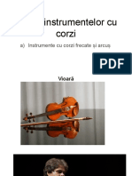 Clasa A V A Fisa Nr. 6 Instrumente Cu Corzi