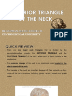 De Guzman - Posterior Triangle of The Neck