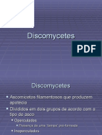 Lecture 10 Discomycetes-portugues