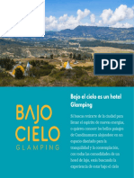 Brochure Bajo El Cielo1