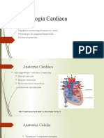 Fisiología Cardiaca 2018
