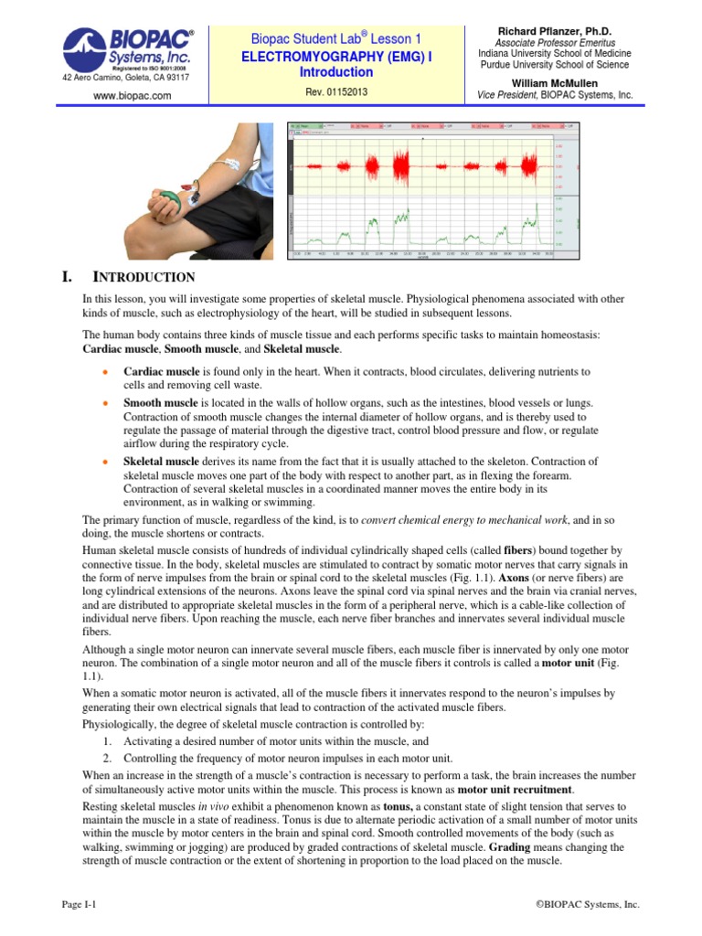 Ntroduction: Electromyography (Emg) I | PDF | Motor Neuron | Skeletal ...