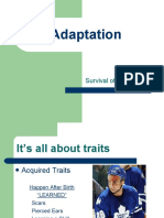 Adaptation: Survival of The Fittest