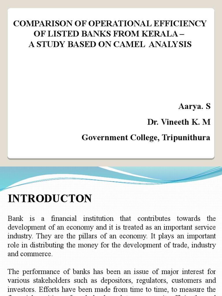 Camel Analysis PDF Market Liquidity Banks