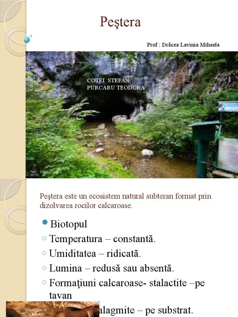 Pestera Vatra | PDF