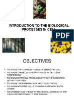 The Biological Processes in Cell