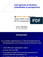 Entreprenariat Agricole Au Burkina Contraintes Potentialites Et Perspectives PDF