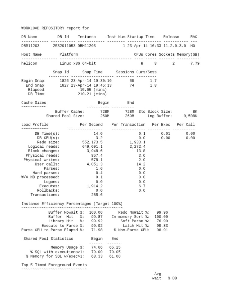 WORKLOAD REPOSITORY REPORT ANALYZING PERFORMANCE METRICS AND STATISTICS