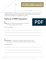 2.3 PEPSI Paragraph Worksheet