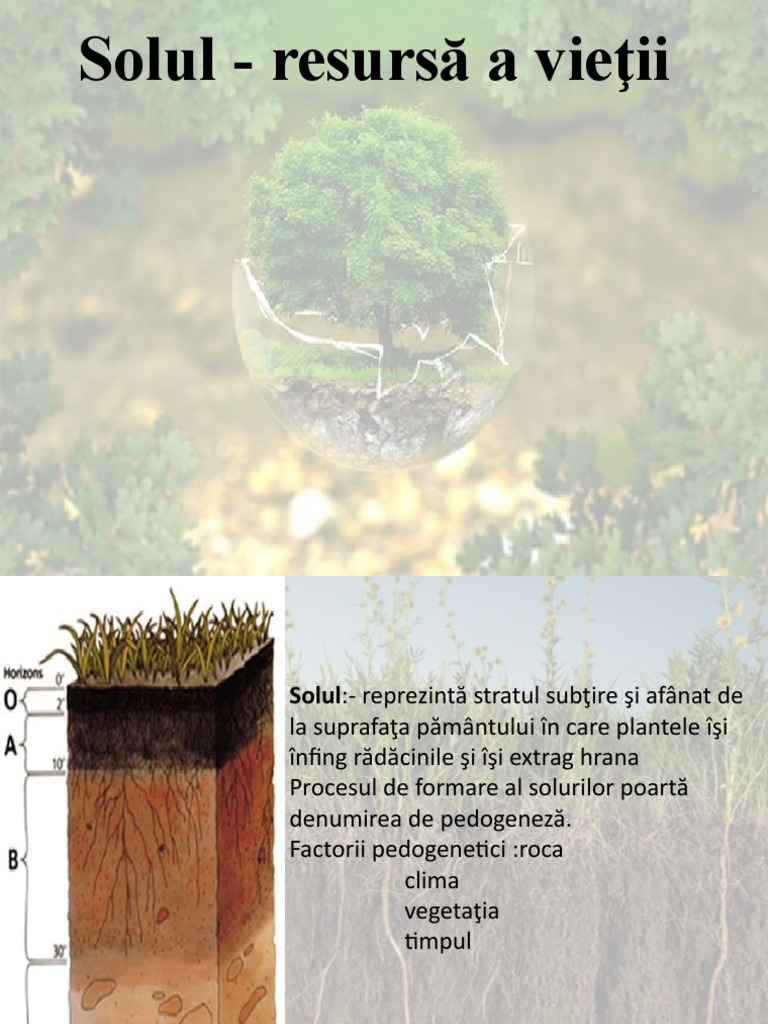 Solul - Resursă A Vieţii | PDF