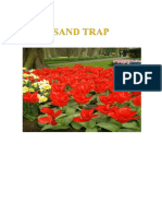 SAND TRAP PDF 2018