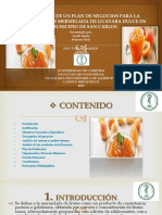 Diapositivas de Formulación