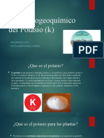 Ciclo Biogeoquímico del Potasio (k).pptx