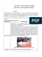 Tarea 2. Enfermedades Hídricas (Químicos) - Juan Camilo Galvis y Carlos Ramirez