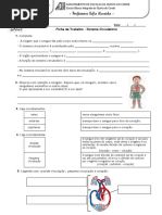 7. Sistema circulatório 1 (5)