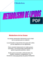 Metabolismo Lipidos PDF