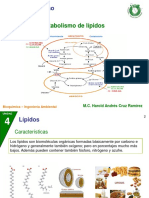 Acidos Grasos