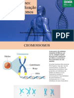 Aula 2 - Genes. Funções e Localização Nos Cromossomos