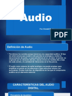 Exposicion de Audio