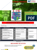 GRUPO 3 Farmacos Antibacterianos Exposicion