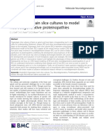 Cloft Et Al - 2019 - Organotypic Brain Slice Cultures To Model Neurodegenerative Proteinopathies