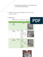 Bioqui Informe 2 NM