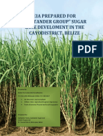 Santander Sugar EIA Fin PDF