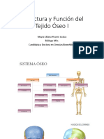 Estructura y función del tejido óseo