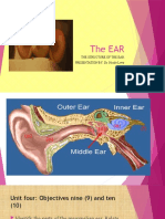 The Ear: The Structure of The Ear PRESENTATION BY: Dr. Nicole Levy
