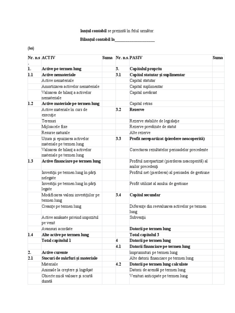 Bilanţul Contabil | PDF