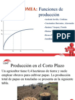 Funcion de Producción