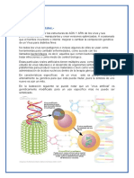 Tarea 1