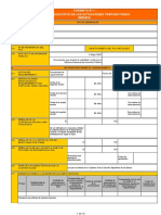 Formatos 1 y 2 Directiva 010 - Resumen Ejecutivo