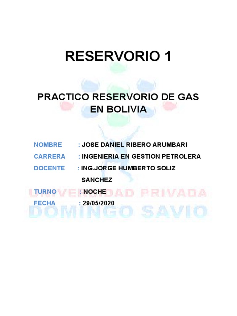 Campos Productores de Gas en Bolivia | PDF | Bolivia | Energía y recursos