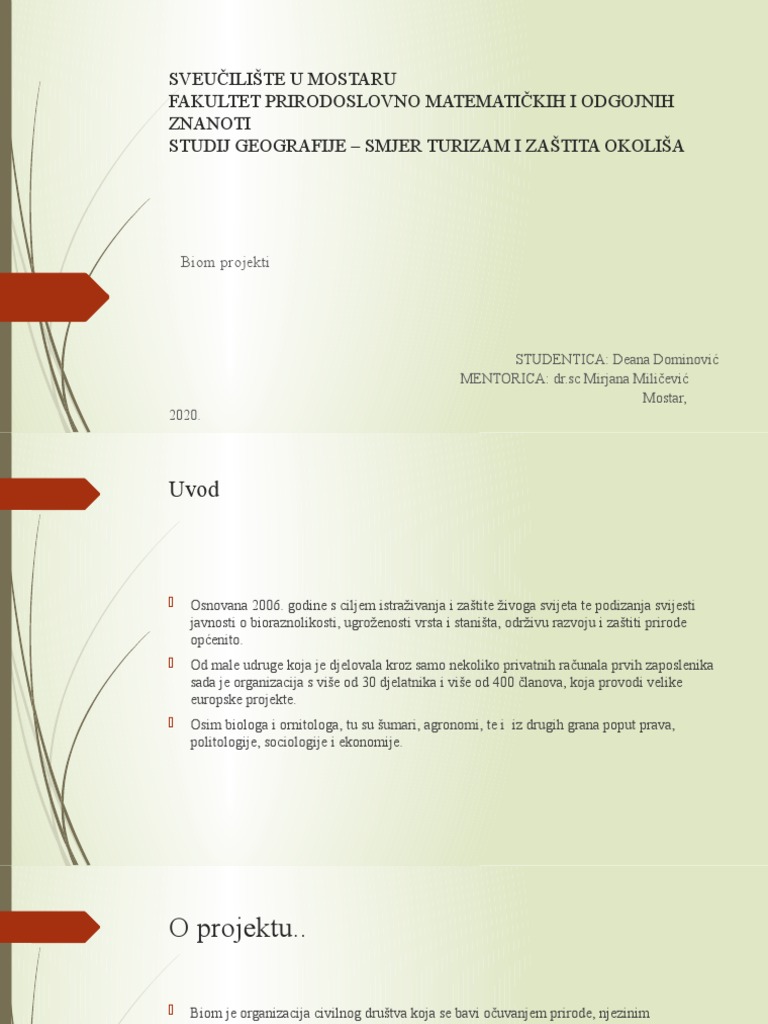 Prezentacija 1 | PDF