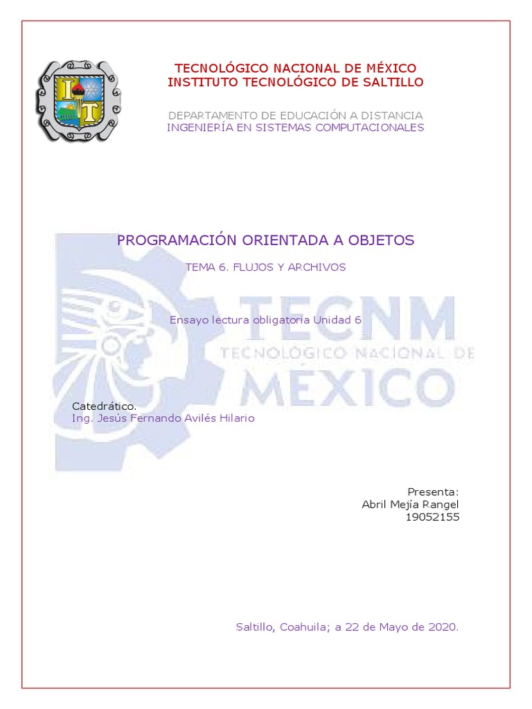 Flujos y Archivos en POO | PDF | Archivo de computadora | Java ...
