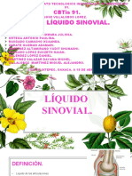 Liquido Sinovial