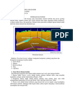 Petroleum System