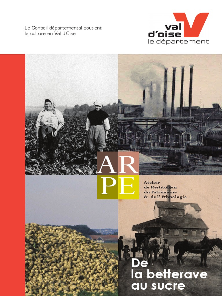 De La Betterave Au Sucre | PDF | Betterave sucrière | Sucre