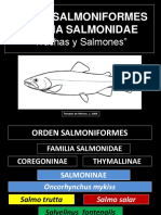 ORDEN SALMONIFORMES.pdf