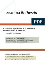 Sistema BETHESDA
