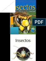 insectos.pptx