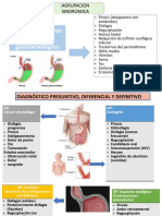 3y4 Agrupacion y Diagnostico