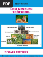 Medio Natural Los Niveles Tróficos