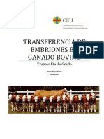 Transferencia de Embriones en Ganado Bovino_TFG_Nuria Ponce Palau