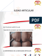 Movilidad articular