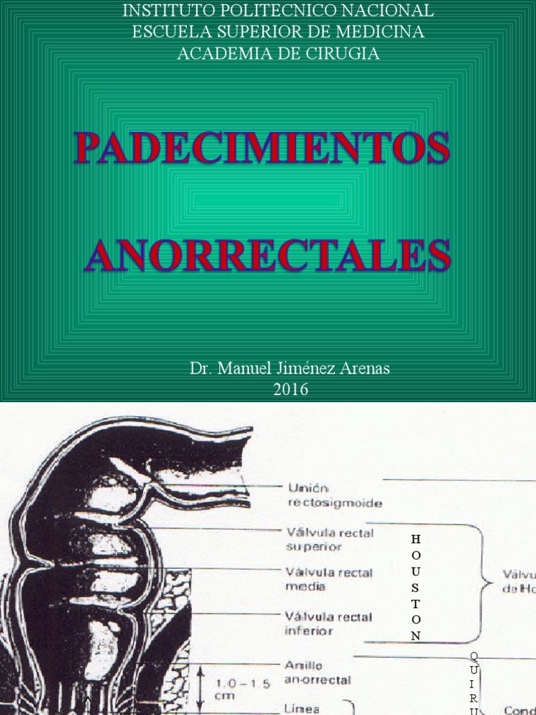 Enfermedades Anorrectales | PDF | Hemorroides | Recto