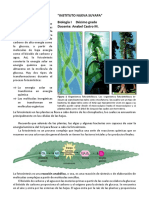 Fotosíntesis Biologia I PDF