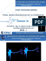 Semana 5 Bases biologicas de la conducta Marketing (1)