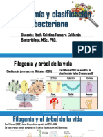 Taxonomabacteriana